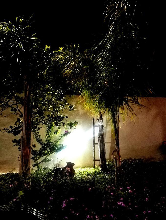Il Grillo Parlante Panzió Surbo Kültér fotó